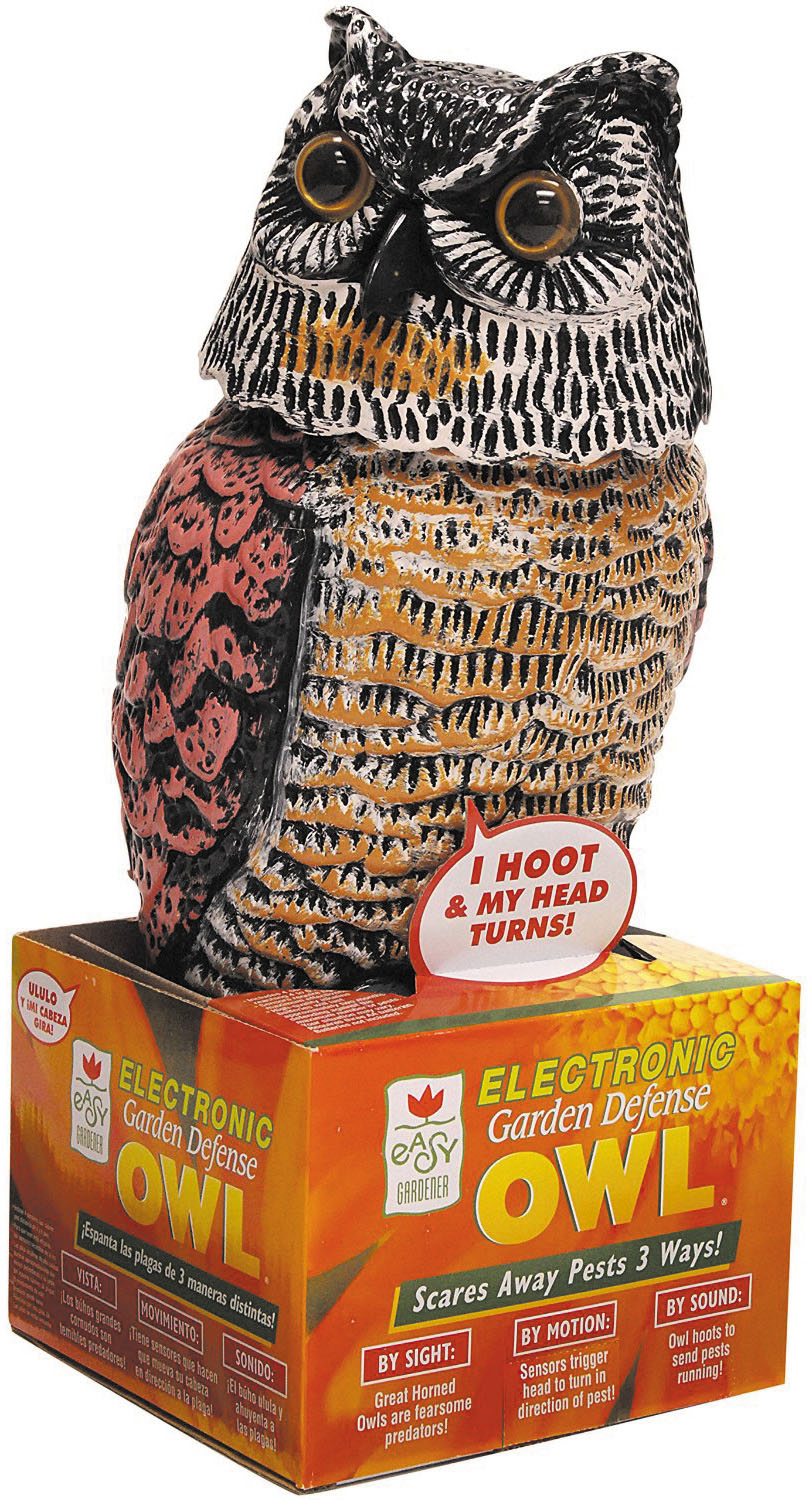 electronic-owl.jpg