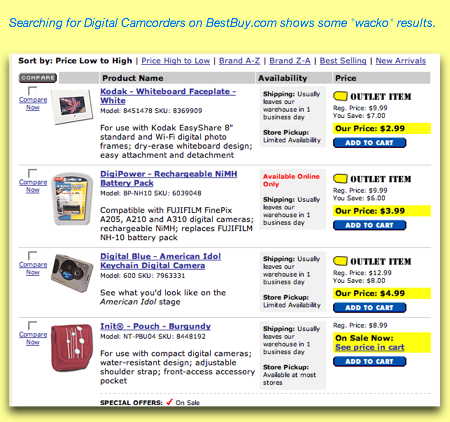 Digital Camcorder Search on Best Buy